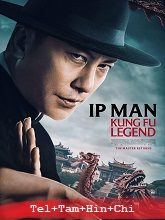 Ip Man: Kung Fu Legend
